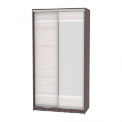 Шкаф-купе Аларти B-220х120х60-2ЯАТ-ЯАС-D9D10