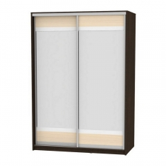 Шкаф-купе Аларти B-220х160х60-1Венге-ДМ-D10D10