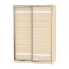 Шкаф-купе Аларти B-220х160х60-2ДМ-D9D9