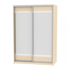 Шкаф-купе Аларти B-220х160х60-2ДМ-D10D10