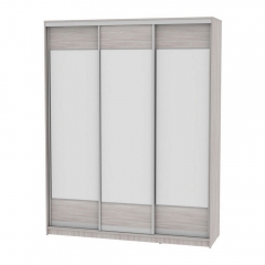 Шкаф-купе Аларти B-220х180х60-1ЯШС-D8D8D8