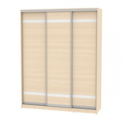 Шкаф-купе Аларти B-220х180х60-1ДМ-D9D9D9