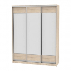 Шкаф-купе Аларти B-220х180х60-2ДСС-D8D8D8