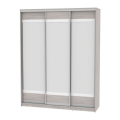 Шкаф-купе Аларти B-220х180х60-2ЯШС-D10D10D10
