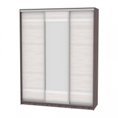 Шкаф-купе Аларти B-220х180х60-2ЯАТ-ЯАС-D9D10D9