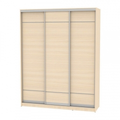 Шкаф-купе Аларти B-220х180х60-3ДМ-D7D7D7