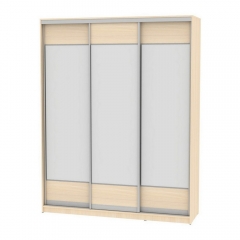 Шкаф-купе Аларти B-220х180х60-3ДМ-D8D8D8