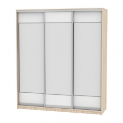 Шкаф-купе Аларти B-220х200х60-1ДСС-Белый-D8D8D8