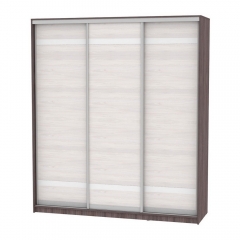 Шкаф-купе Аларти B-220х200х60-1ЯАТ-ЯАС-D9D9D9