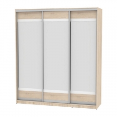 Шкаф-купе Аларти B-220х200х60-1ДСС-D10D10D10