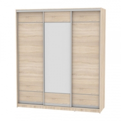 Шкаф-купе Аларти B-220х200х60-1ДСС-D7D8D7