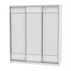 Шкаф-купе Аларти B-220х200х60-2ЯАС-D8D8D8
