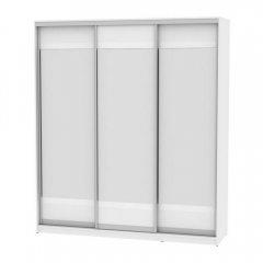 Шкаф-купе Аларти B-220х200х60-2Белый-D10D10D10