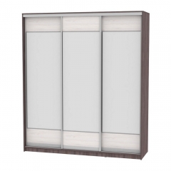 Шкаф-купе Аларти B-220х200х60-3ЯАТ-ЯАС-D8D8D8