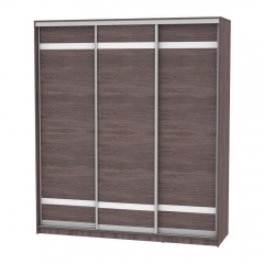 Шкаф-купе Аларти B-220х200х60-3ЯАТ-D9D9D9