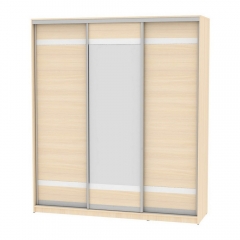 Шкаф-купе Аларти B-220х200х60-3ДМ-D9D10D9