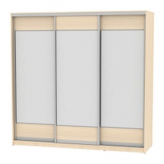 Шкаф-купе Аларти B-220х235х60-1ДМ-D8D8D8