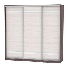 Шкаф-купе Аларти B-220х235х60-1ЯАТ-ЯАС-D9D9D9