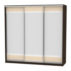 Шкаф-купе Аларти B-220х235х60-2Венге-ДМ-D10D10D10