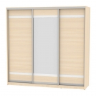 Шкаф-купе Аларти B-220х235х60-2ДМ-D9D10D9