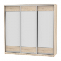 Шкаф-купе Аларти B-220х235х60-3ДСС-D8D8D8