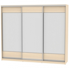 Шкаф-купе Аларти B-220х270х60-1ДМ-D8D8D8