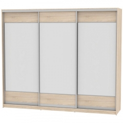 Шкаф-купе Аларти B-220х270х60-2ДСС-D8D8D8