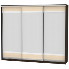 Шкаф-купе Аларти B-220х270х60-2Венге-ДМ-D10D10D10