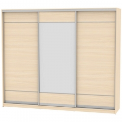 Шкаф-купе Аларти B-220х270х60-2ДМ-D7D8D7