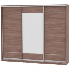 Шкаф-купе Аларти B-220х270х60-2ЯШТ-D7D8D7