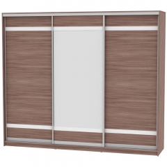 Шкаф-купе Аларти B-220х270х60-3ЯШТ-D9D10D9