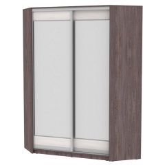 Шкаф-купе Аларти YA-198х1250-2ЯАТ-ЯАС-D2D2