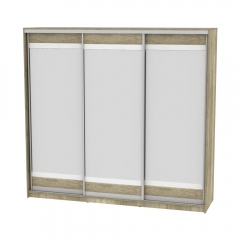 Шкаф-купе Аларти B-220х235х60-3ДКМ-D10D10D10