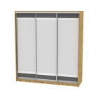 Шкаф-купе Аларти B-230х200х60-3ДВ-Графит-D10D10D10