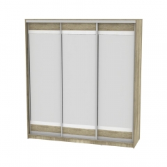 Шкаф-купе Аларти B-220х200х60-1ДКМ-D10D10D10