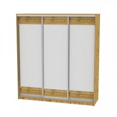 Шкаф-купе Аларти B-220х200х60-3ДВ-D8D8D8