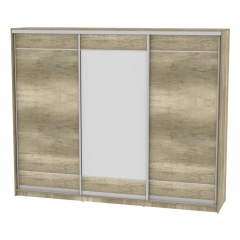 Шкаф-купе Аларти B-220х270х60-1ДКМ-D7D8D7