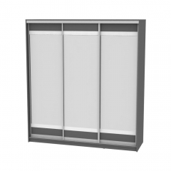 Шкаф-купе Аларти B-230х200х60-2Графит-D10D10D10