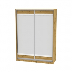 Шкаф-купе Аларти B-230х160х60-1ДВ-D10D10