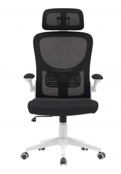 Компьютерное кресло Stool Group TopChairs Airone белый с черной сеткой