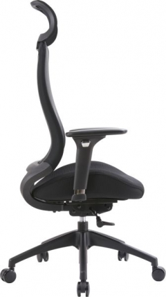 Эргономичное кресло Everprof Everprof Ant Ткань Черный