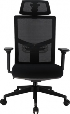 Эргономичное кресло Everprof Everprof Fuji Сетка Черный