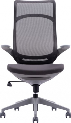 Кресло руководителя Everprof Everprof Spirit Сетка Серый