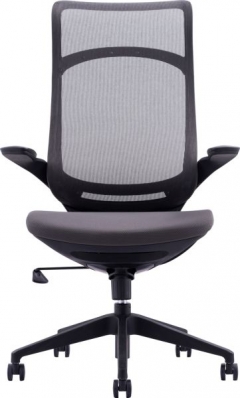 Кресло руководителя Everprof Everprof Spirit Сетка Черный