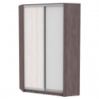 Шкаф-купе Аларти YA-230х1250-2ЯАТ-ЯАС-D6D5
