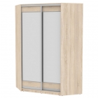 Шкаф-купе Аларти YA-230х1400-718-5ДСС-D2D2