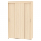 Шкаф-купе Аларти T-3-230х145х45ДМ-1