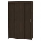 Шкаф-купе Аларти T-3-230х145х45ЯАТ-2