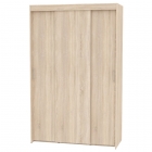 Шкаф-купе Аларти T-3-230х145х60ДСС-2